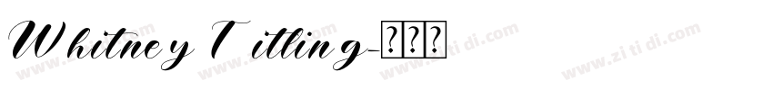 Whitney Titling字体转换